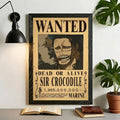 One Piece Wanted Posters